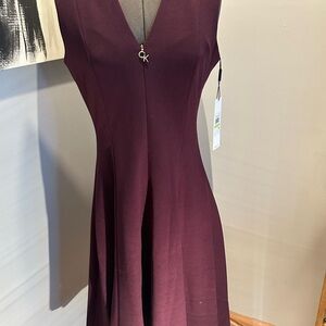 Elegant Burgundy Dress